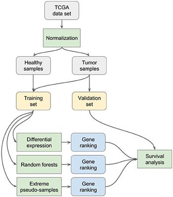 Using Supervised Learning Methods for Gene Selection in RNA-Seq Case-Control Studies